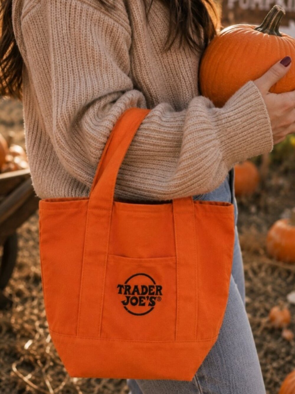 LIMITED RELEASE Trader Joe’s Orange Mini Canvas Tote-NWT